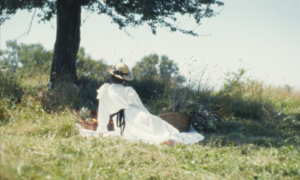 ODONATA / Real : Adrien Fonda / DOP : Martin Roux / Prod : In the Cut